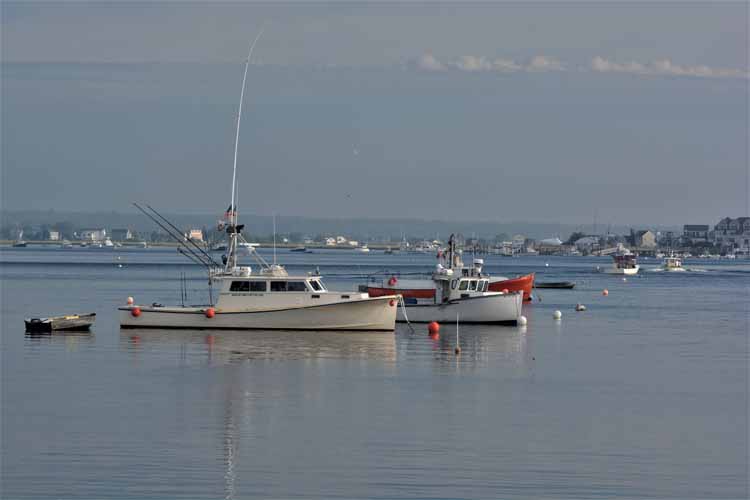 hampton harbor